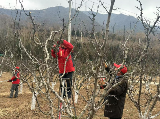 微信图片_20250305171416.png
