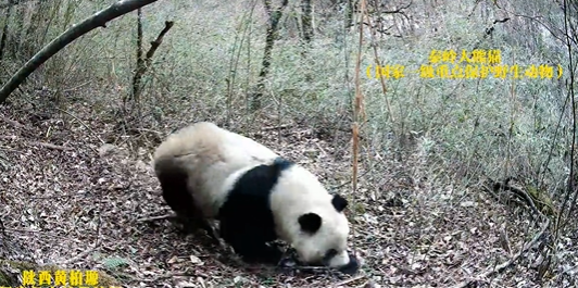 微信图片_20251203091811.png