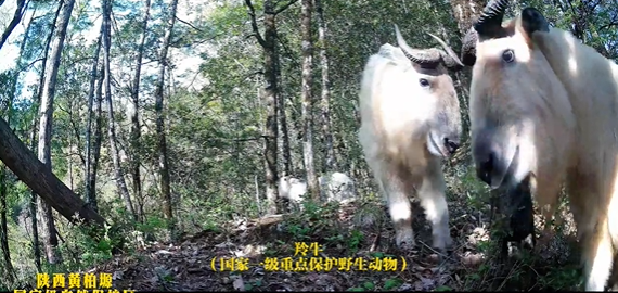 微信图片_20251203091917.png