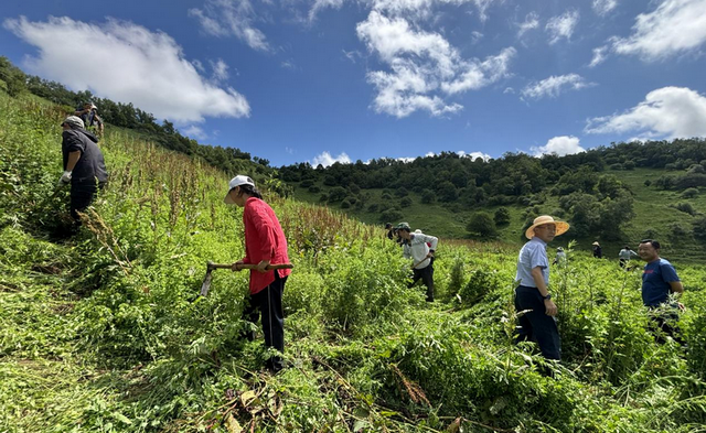 宝鸡市多措并举强化草原有害生物防治守护生态安全.png