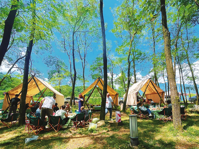 凤县黄牛铺镇东河桥村的青野·牧星人麓营地.png