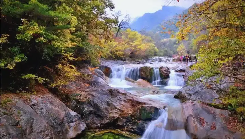 黄柏塬2.webp