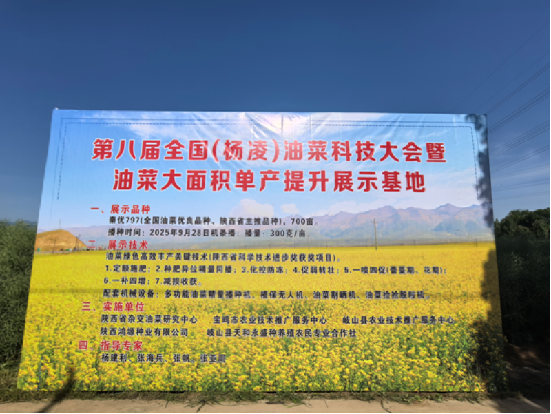 73abee8a-1617-41c4-8c4d-5c8162aa789c.png