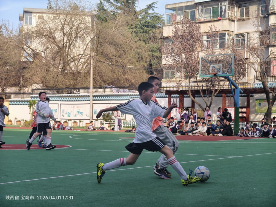 微信图片_20260410101657_101_495.png