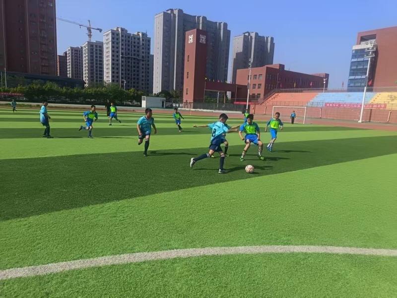 微信图片_20260428160244_25_550.jpg